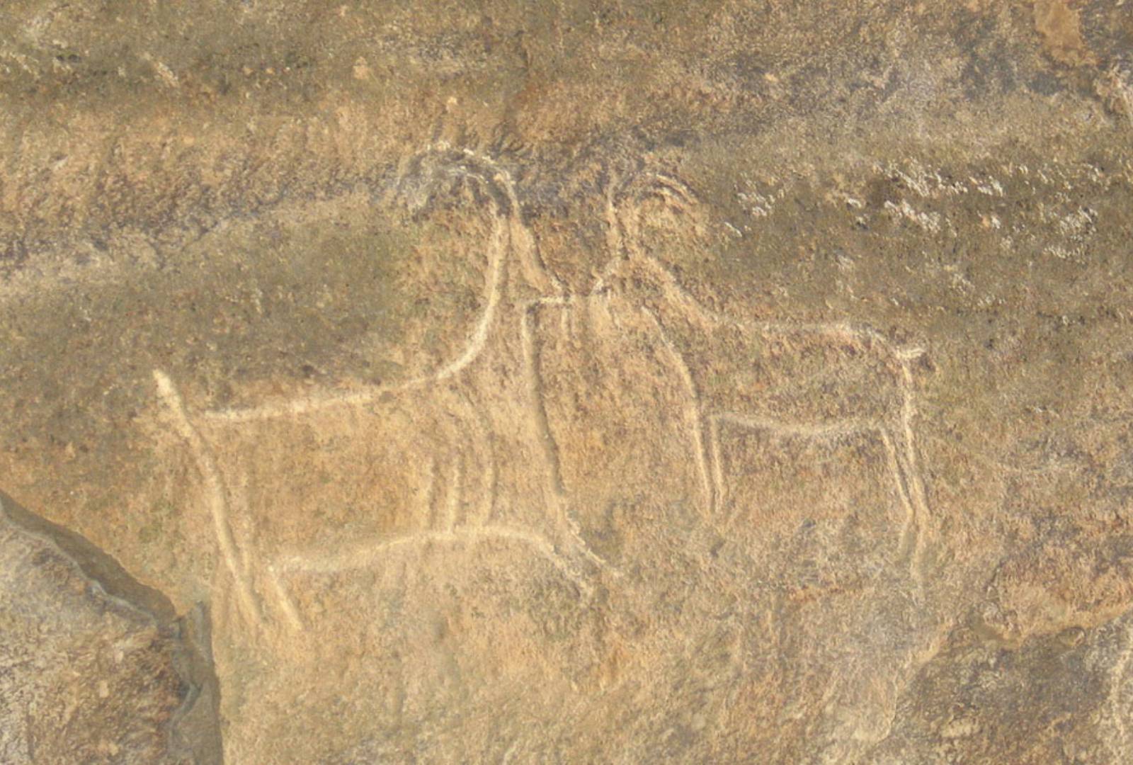 Unearthing the Mysteries of the Gemigaia Petroglyphs in Ordubad