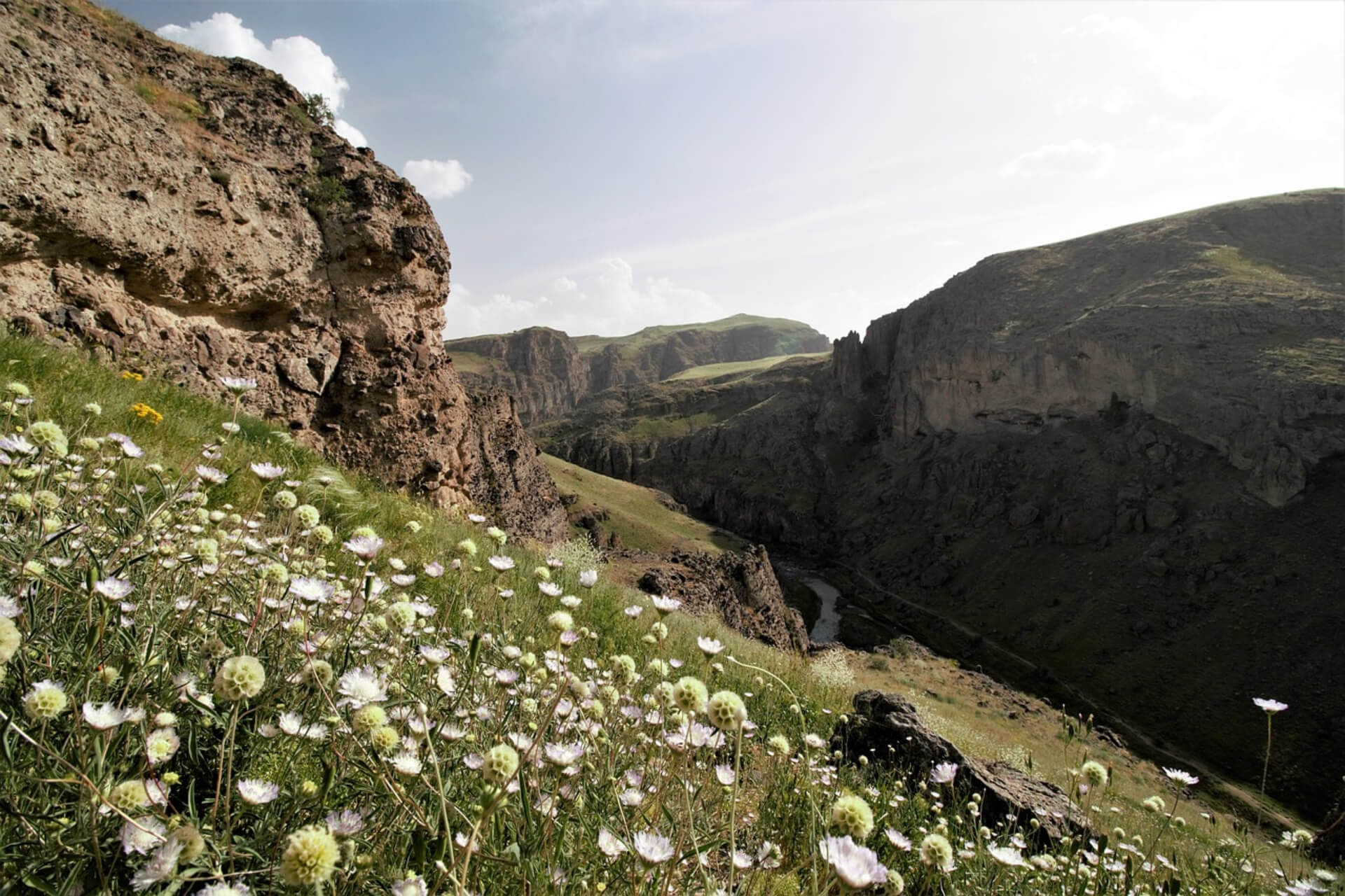 Discover Azerbaijan in Spring: A Blooming Paradise of Natural Beauty