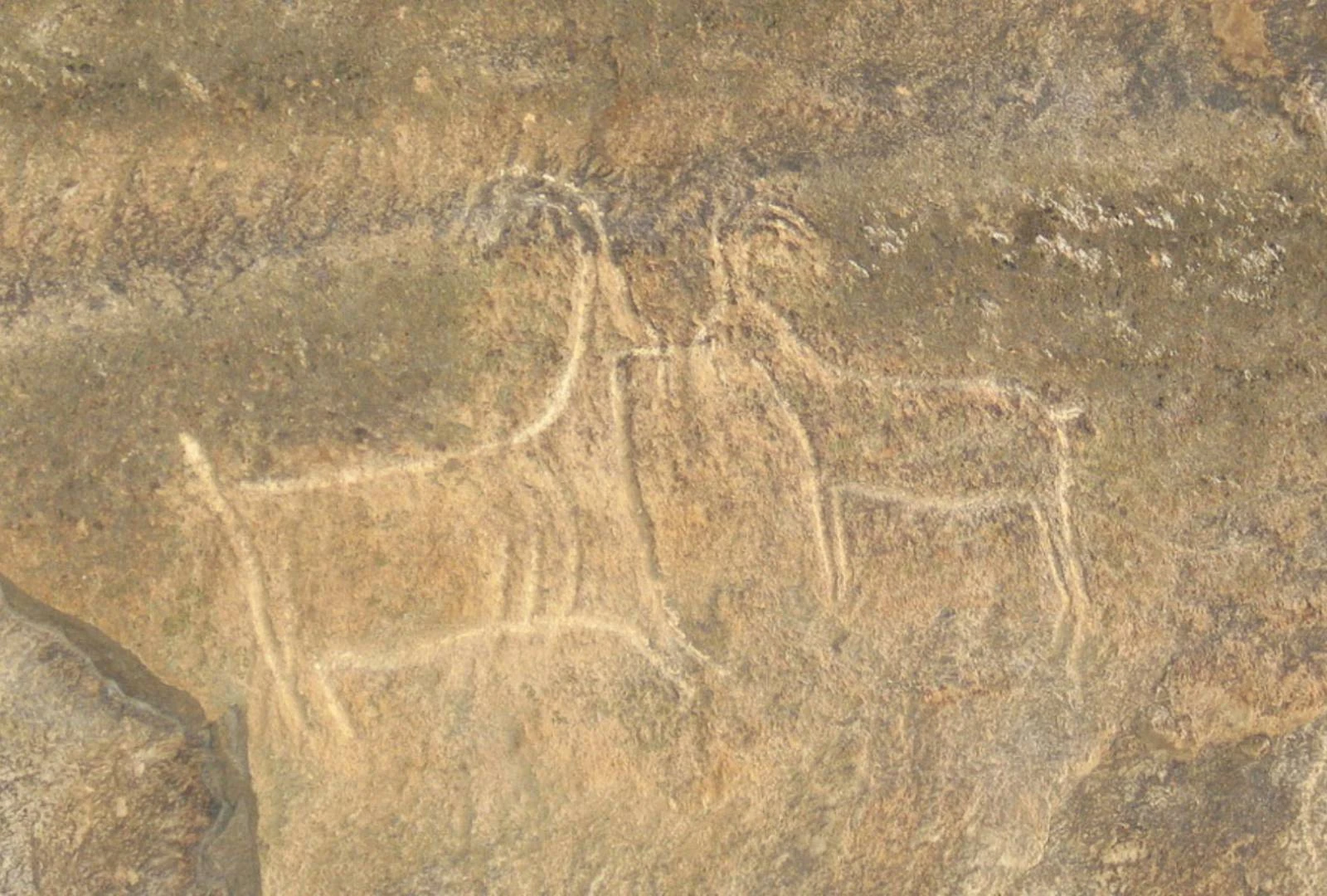 Unearthing the Mysteries of the Gemigaia Petroglyphs in Ordubad