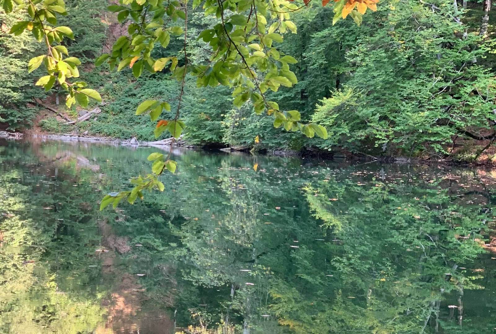Explore the Hidden Beauty of Qaranohur Lake in Ismayilli: Azerbaijan's Natural Wonder