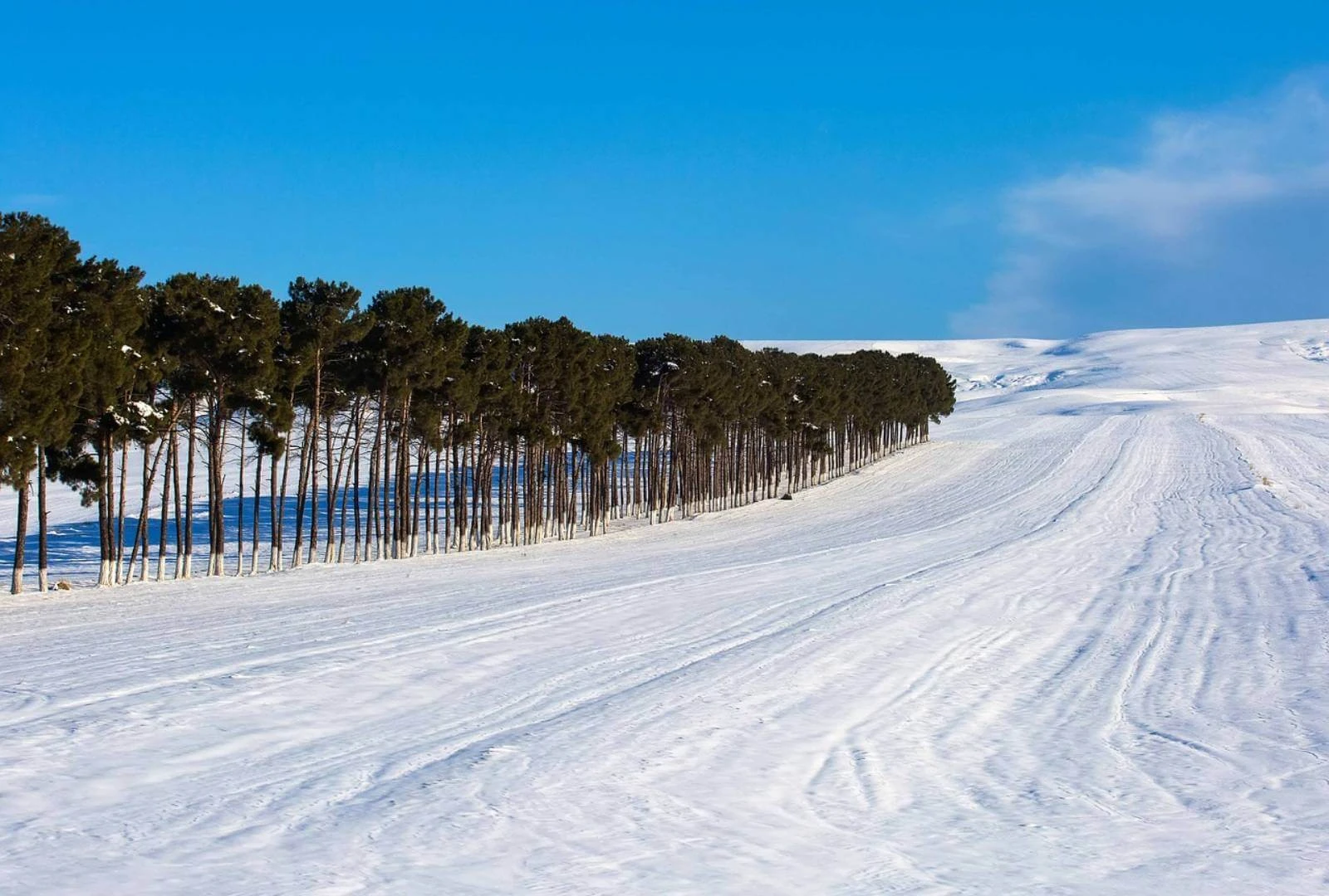 Azerbaijan through the seasons - Explore the Best of Azerbaijan Year-Round