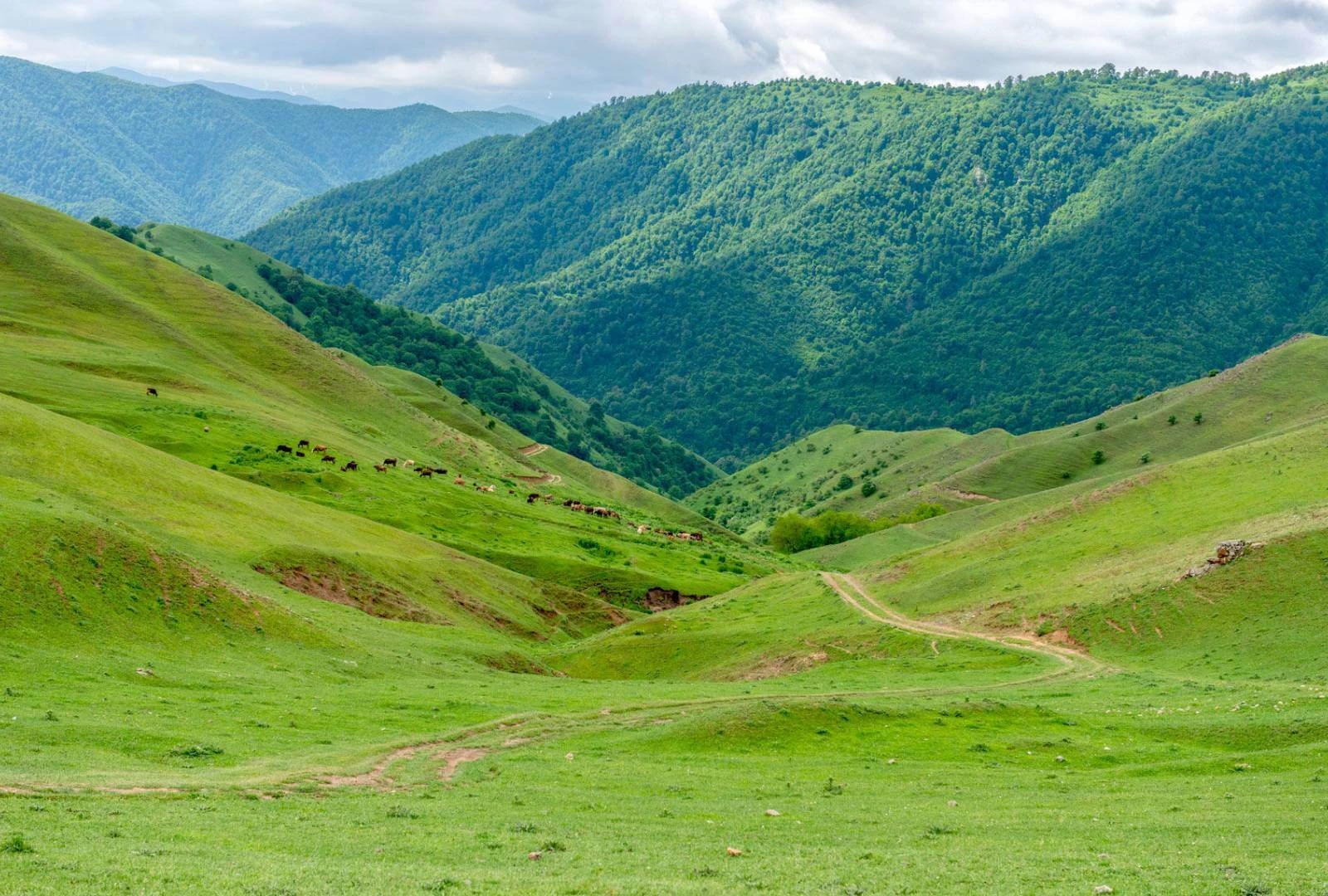 Exploring Gadabay's history : A Hub of Potato Cultivation and Historic Copper Mining
