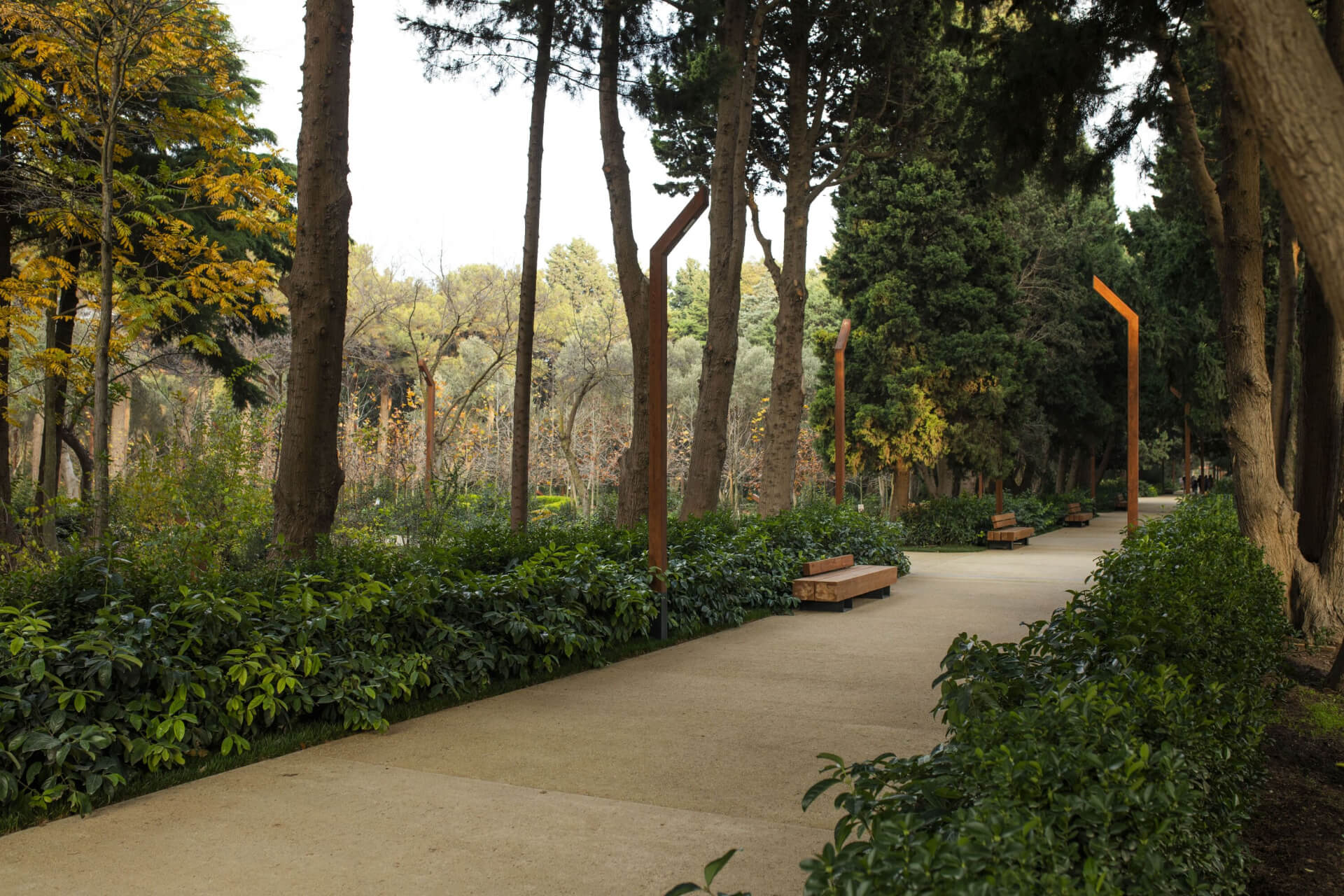 Central Botanical Garden in Baku: A Green Oasis in the Heart of the City